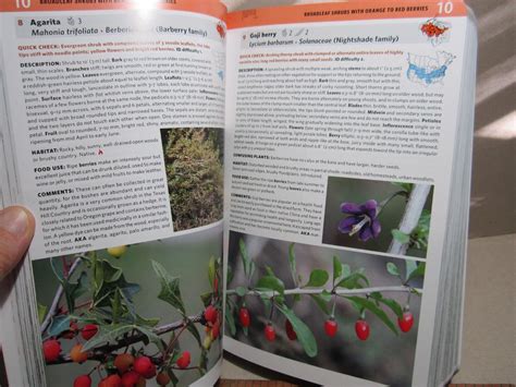 field guide to edible wild plants 2nd edition Doc
