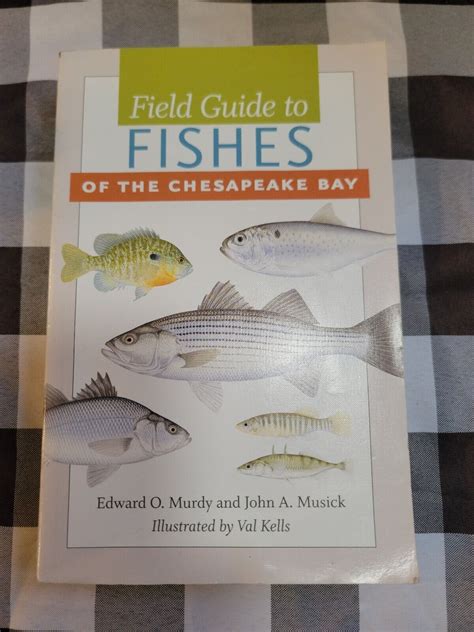 field guide to fishes of the chesapeake bay Doc