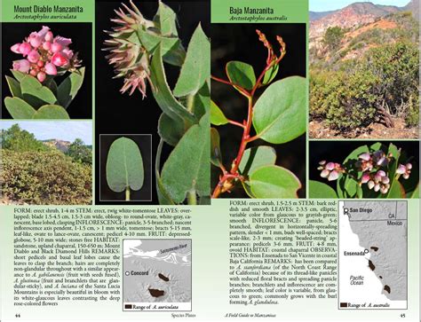 field guide to manzanitas Doc