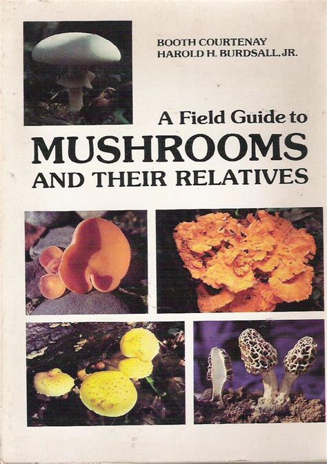 field guide to mushrooms and their relatives Reader