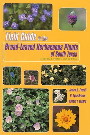 field guide to the broad leaved herbaceous plants of south texas used by livestock and wildlife PDF