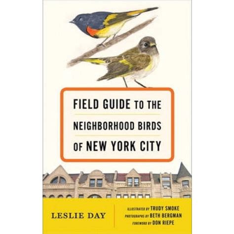 field guide to the neighborhood birds of new york city Doc