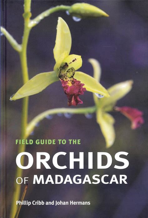 field guide to the orchids of madagascar Epub