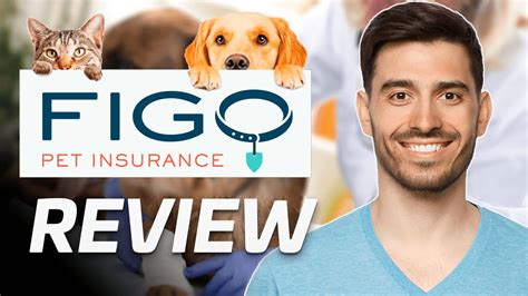 figo pet insurance reviews