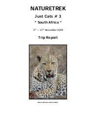 filelist convert a file freeexampapers Doc