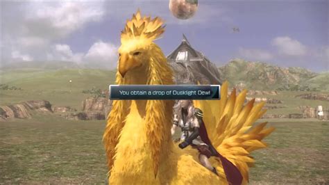 final fantasy 13 chocobo