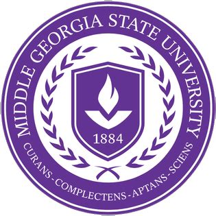 financial aid middle georgia state university