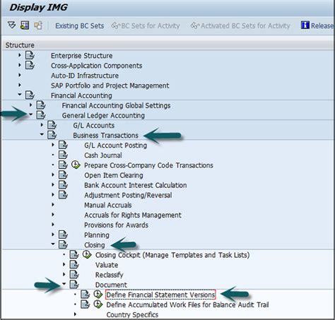 financial statement version document in sap Epub