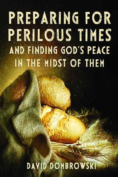 finding gods peace in perilous times PDF