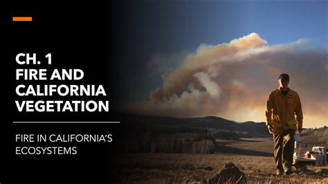 fire in california s ecosystems fire in california s ecosystems Epub