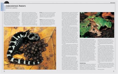 firefly encyclopedia of reptiles and amphibians PDF