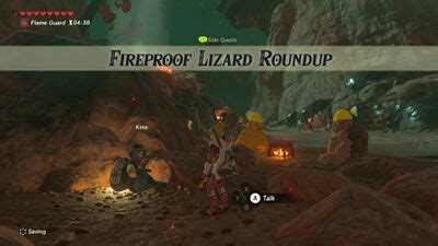 fireproof lizard roundup