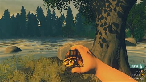 firewatch turtle