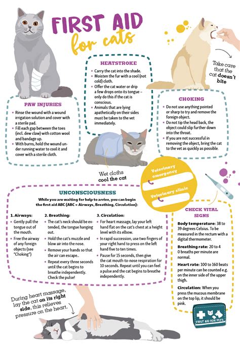 first aid for cats the essential quick reference guide Doc