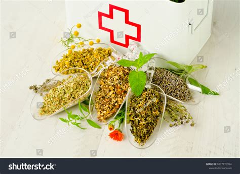 first aid with herbs first aid with herbs Kindle Editon