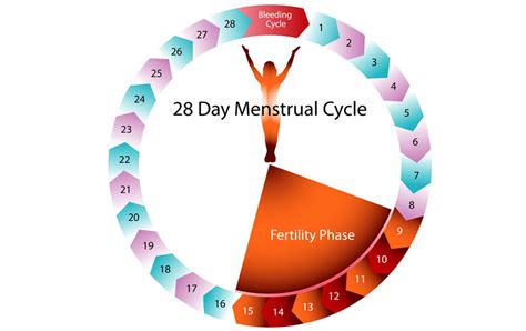 first day of last menstrual period