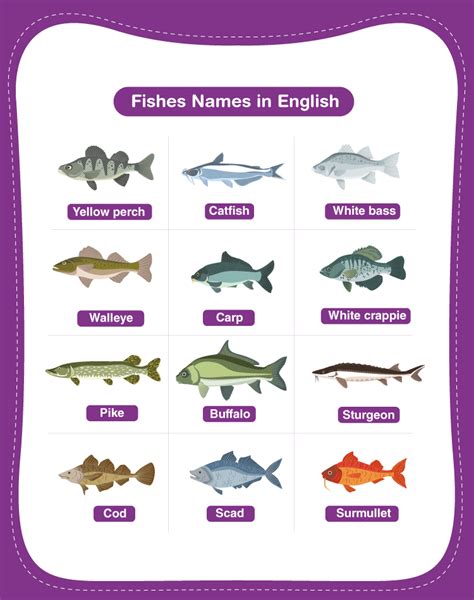 fish names that start with s