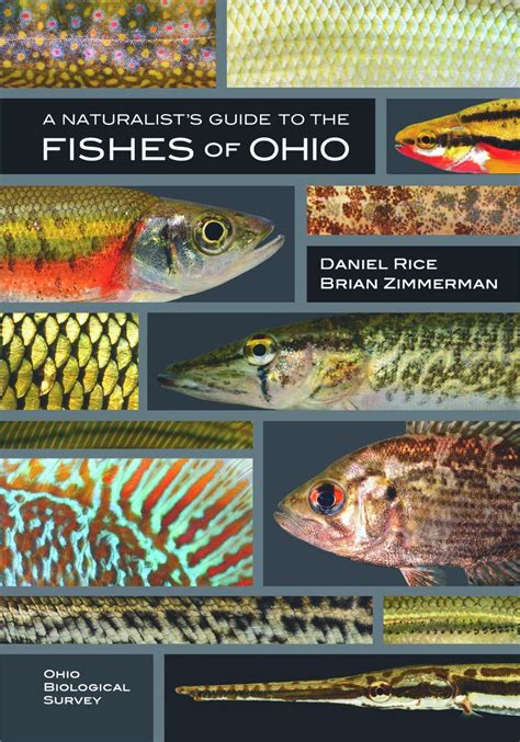 fish of ohio field guide the fish of Kindle Editon