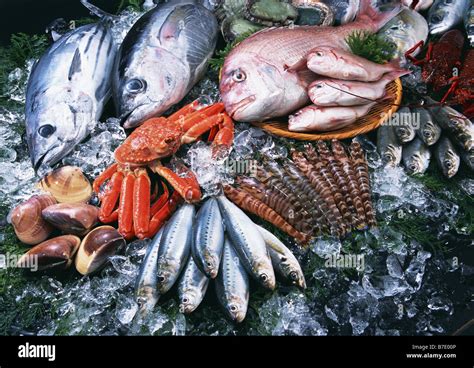 fishery products fishery products Kindle Editon