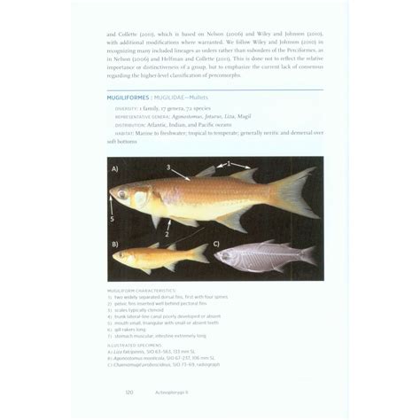 fishes a guide to their diversity PDF