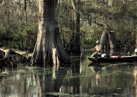 fishing in the swamp