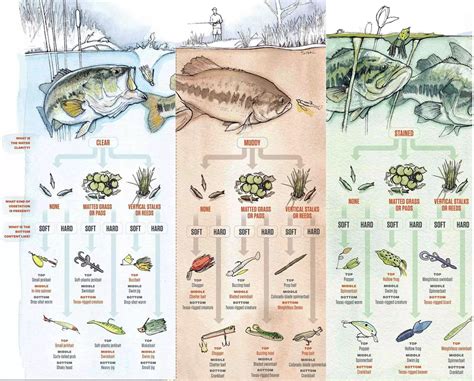 fishing lure guide