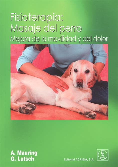 fisioterapia masaje del perro mejora de la movilidad y del dolor PDF