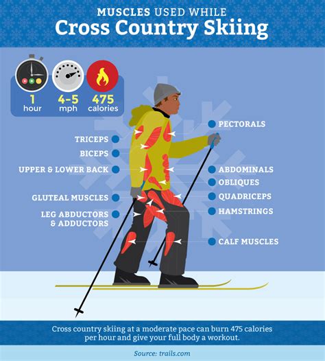 fitness cross country skiing fitness spectrum PDF