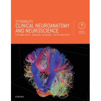 fitzgeralds clinical neuroanatomy neuroscience estomih ebook Doc