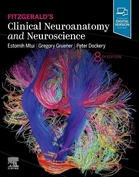 fitzgeralds clinical neuroanatomy neuroscience pageburst Doc