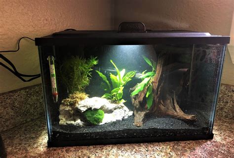 five gallon tank