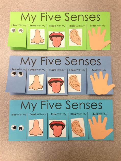 five senses unit lesson plans Epub