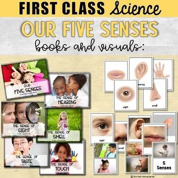 five_senses_unit_lesson_plans Ebook PDF