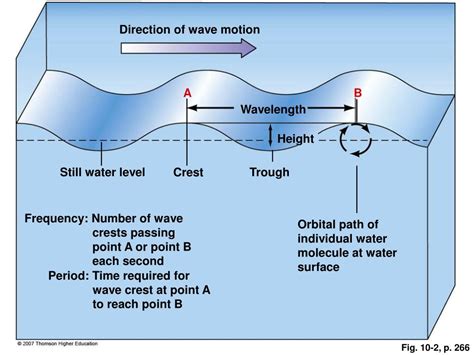 fixed and moving waves in mareys la vague