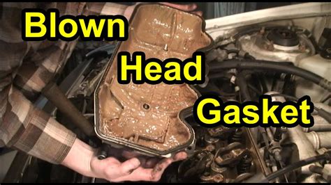 fixing blown head gasket price