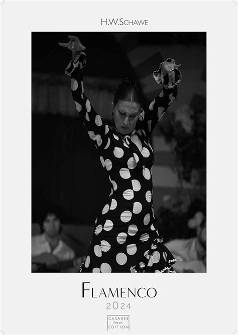 flamenco 2016 h w schawe Kindle Editon