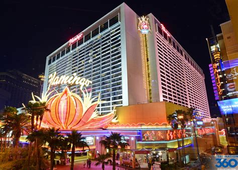 flamingo hotel las vegas nevada