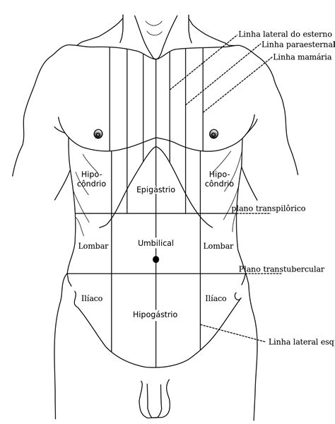 flancos corpo