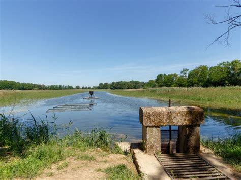 flanerie dombes 2016 promenade etangs Reader