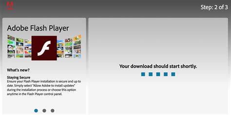 flash player manual download Kindle Editon
