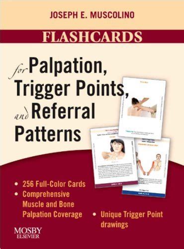 flashcards for palpation trigger points and referral patterns 1e Epub