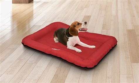 flat dog bed