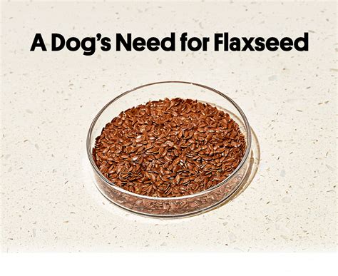 flax for dogs