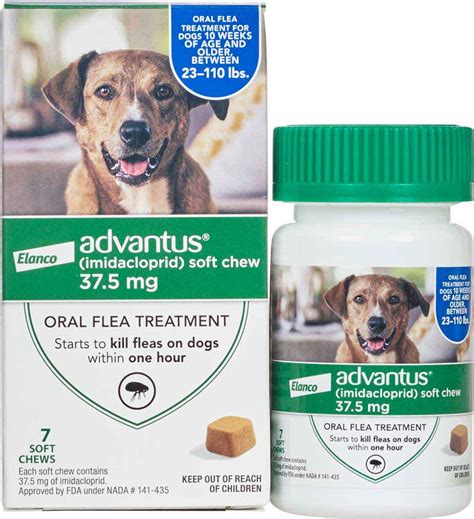 flea tick meds for dogs