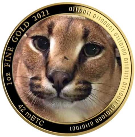 floppa coin