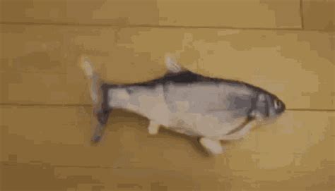 Flopping Fish Gif