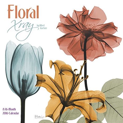 floral xray wall calendar 2016 PDF