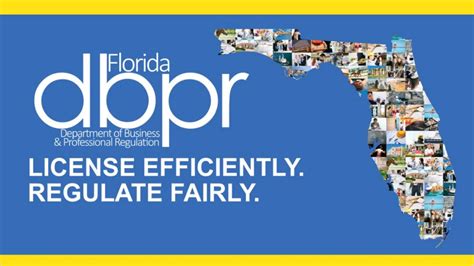 florida board of professional regulations Epub
