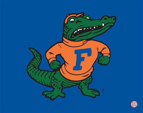 florida gators football shirts