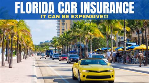 florida vehicle insurance